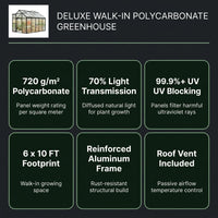 6X10 FT Greenhouse for Outdoors, Polycarbonate Greenhouse with Roof Vent, Ground Nails, Lockable Push Door, Aluminum Large Walk-In Green House for outside Garden Backyard, Patio, Lawn, Black — Results & Stats