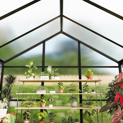6X10 FT Greenhouse for Outdoors, Polycarbonate Flower Greenhouse with Roof Vent, Push-Pull Lockable Door, Aluminum Walk-In Greenhouses for outside Garden Backyard, Patio, Lawn, Black